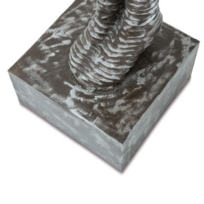 Clavadista Discoveries - Image 4