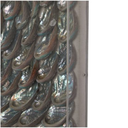 Capelo Shell - Image 6