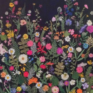 Flores Nocturnas