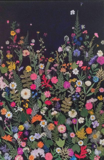 Flores Nocturnas
